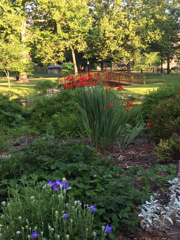 Red Flowers