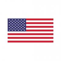 USA FLAG